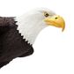 Safari Ltd Bald Eagle Incredible Creatures *