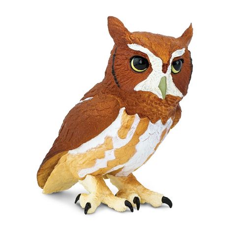 Safari Ltd Eastern Screech Owl Incredible Creat