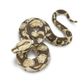 Safari Ltd Boa Constrictor Incredible Creatures