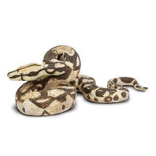 Safari Ltd Boa Constrictor Incredible Creatures