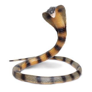 Safari Ltd Cobra Incredible Creatures