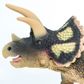 Safari Ltd Triceratops Ws Prehistoric World