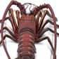 Safari Ltd Spiny Lobster