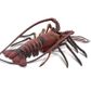 Safari Ltd Spiny Lobster