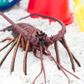 Safari Ltd Spiny Lobster