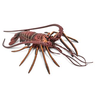 Safari Ltd Spiny Lobster