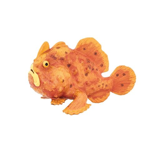 Safari Ltd Frogfish