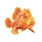 Safari Ltd Frogfish