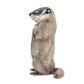 Safari Ltd Groundhog Incredible Creatures