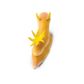Safari Ltd Nudibranch Incredible Creatures