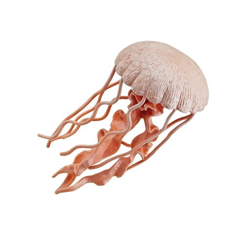 Safari Ltd Jellyfish Incredible Creatures