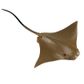 Safari Ltd Cownose Ray Incredible Creatures