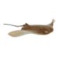 Safari Ltd Cownose Ray