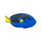 Safari Ltd Blue Tang