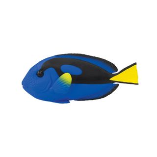 Safari Ltd Blue Tang