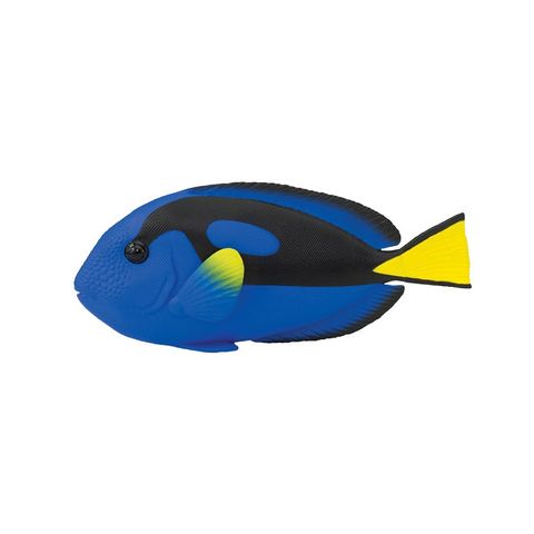 Safari Ltd Blue Tang