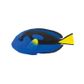 Safari Ltd Blue Tang