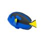 Safari Ltd Blue Tang