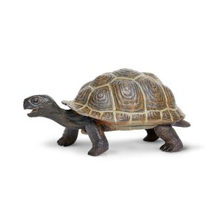 Safari Ltd Tortoise Baby Incredible Creatures