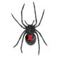 Safari Ltd Black Widow Spider Incredible Creatures