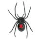 Safari Ltd Black Widow Spider