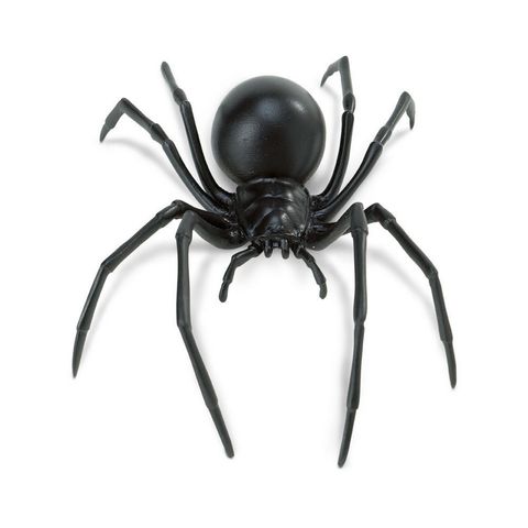 Safari Ltd Black Widow Spider Incredible Creatures