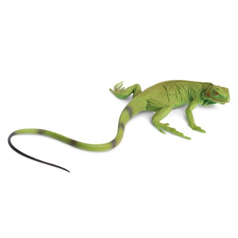 Safari Ltd Iguana Baby