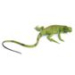 Safari Ltd Iguana Baby Incredible Creatures