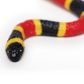 Safari Ltd Coral Snake Baby