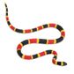 Safari Ltd Coral Snake Baby IncredibleCreatures