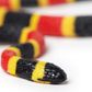 Safari Ltd Coral Snake Baby IncredibleCreatures