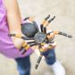 Safari Ltd Orange-Kneed Tarantula Incredible Creat