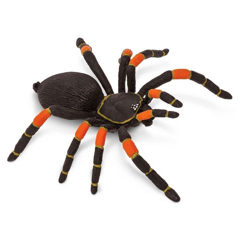 Safari Ltd Orange-Kneed Tarantula