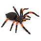 Safari Ltd Orange-Kneed Tarantula