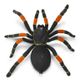 Safari Ltd Orange-Kneed Tarantula Incredible Creat