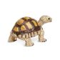 Safari Ltd Tortoise Incredible Creatures