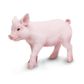 Safari Ltd Piglet