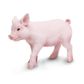 Safari Ltd Piglet Incredible Creatures*