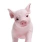 Safari Ltd Piglet Incredible Creatures*