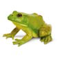 Safari Ltd American Bullfrog IncredibleCreatures