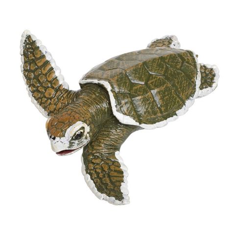 Safari Ltd Kemps Ridley Sea Turtle BabyIncredible