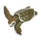 Safari Ltd Kemps Ridley Sea Turtle BabyIncredible