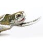 Safari Ltd Kemps Ridley Sea Turtle BabyIncredible