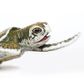 Safari Ltd Kemps Ridley Sea Turtle Baby