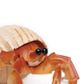 Safari Ltd Hermit Crab