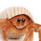 Safari Ltd Hermit Crab Incredible Creatures
