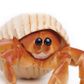 Safari Ltd Hermit Crab