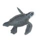 Safari Ltd Sea Turtle Baby