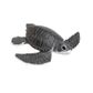 Safari Ltd Sea Turtle Baby Incredible Creatures