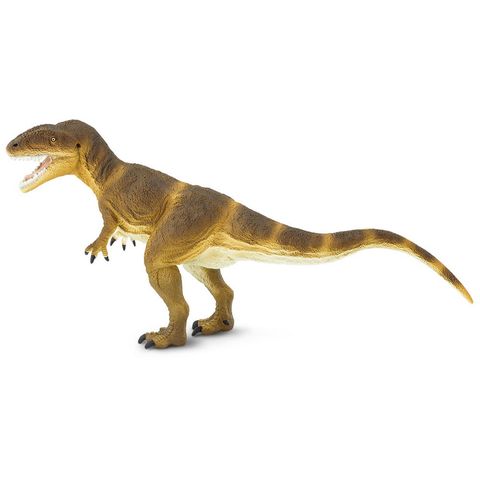 Safari Ltd Carcharodontosaurus